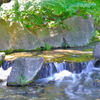 徳川園　滝