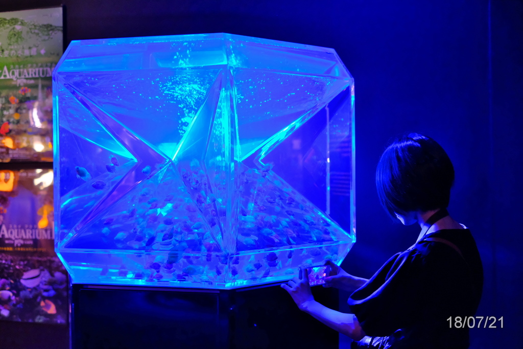 金魚と女性