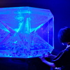 金魚と女性