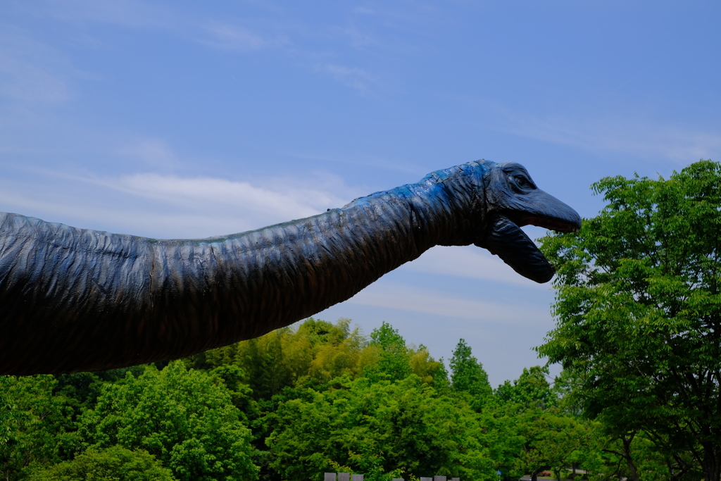 大高緑地公園４