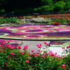 花フェスタ記念公園６