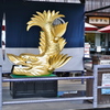 名古屋城１０