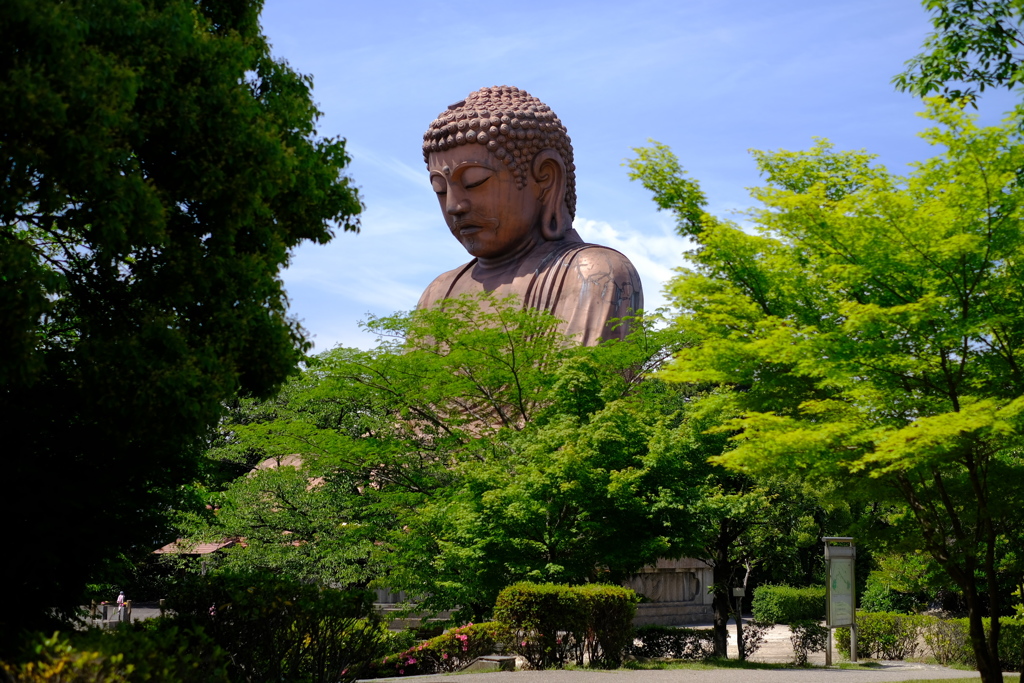聚楽園１