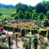 花フェスタ記念公園１２