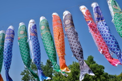ノリタケの森　鯉のぼり１