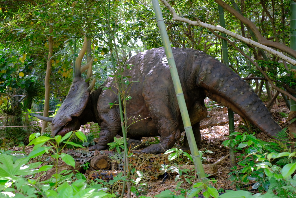 大高緑地公園５