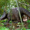 大高緑地公園５