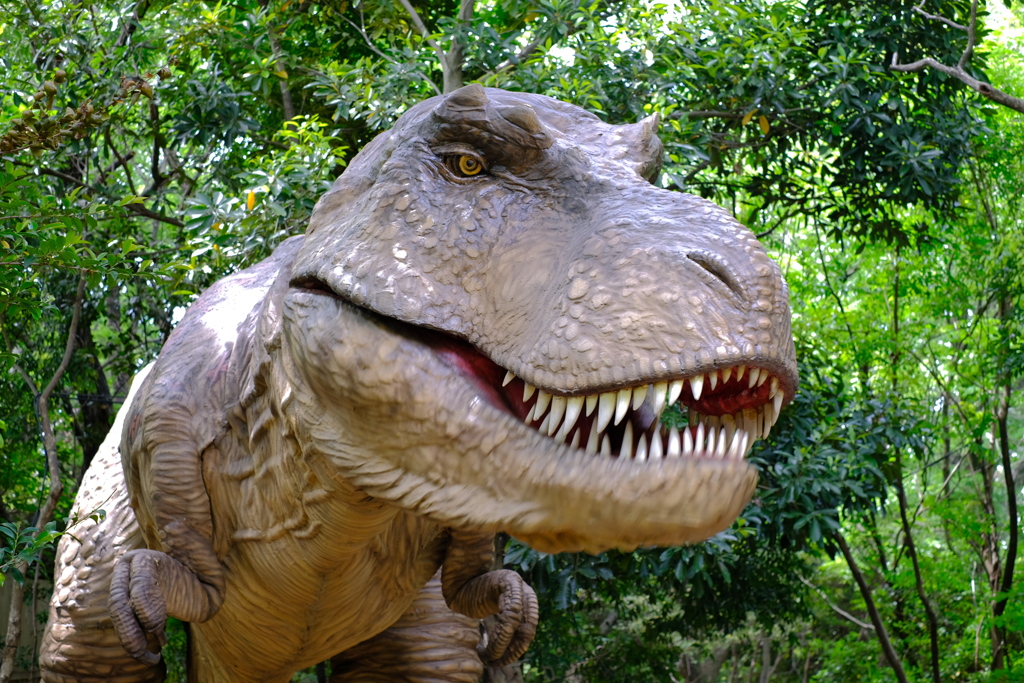 大高緑地公園３