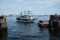 名古屋港ワイルドフラワーガーデン１