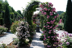 花フェスタ記念公園７