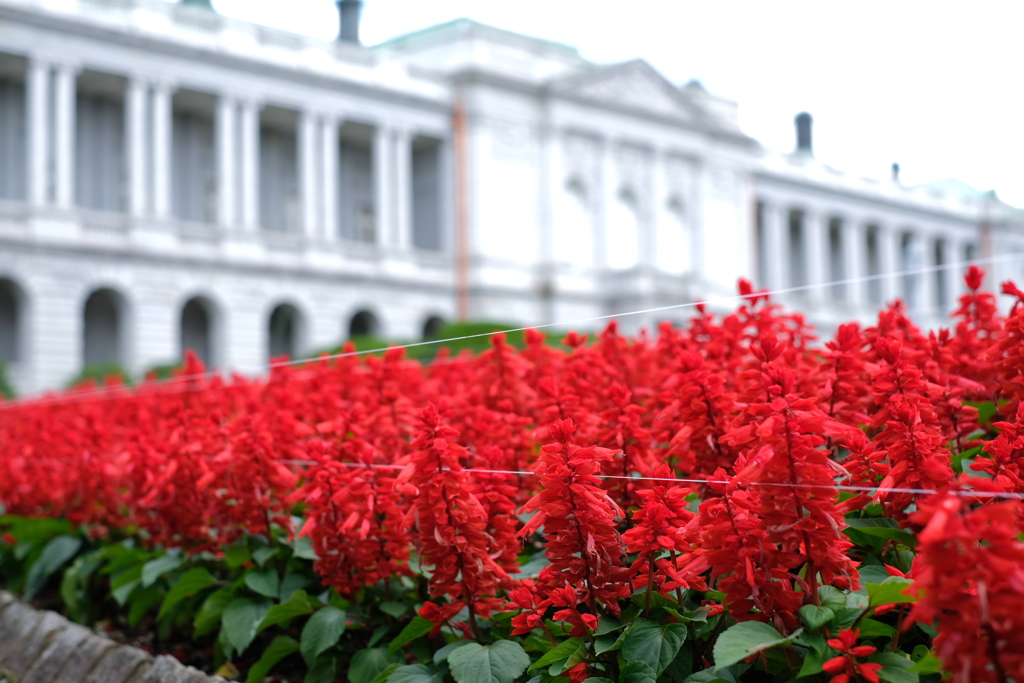 迎賓館赤坂離宮