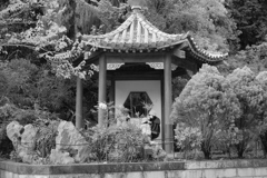 東山植物園１