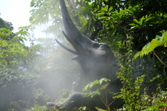 上野動物園２