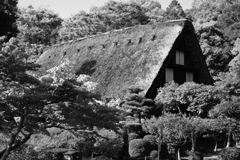 東山植物園３
