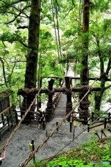 かずら橋
