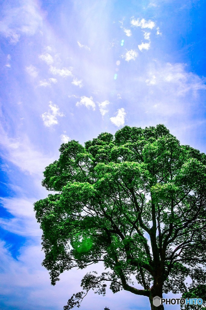 青空