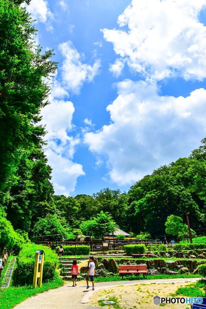 夏の青空