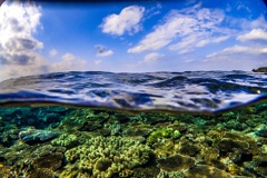 沖縄 瀬底島の半水面の写真