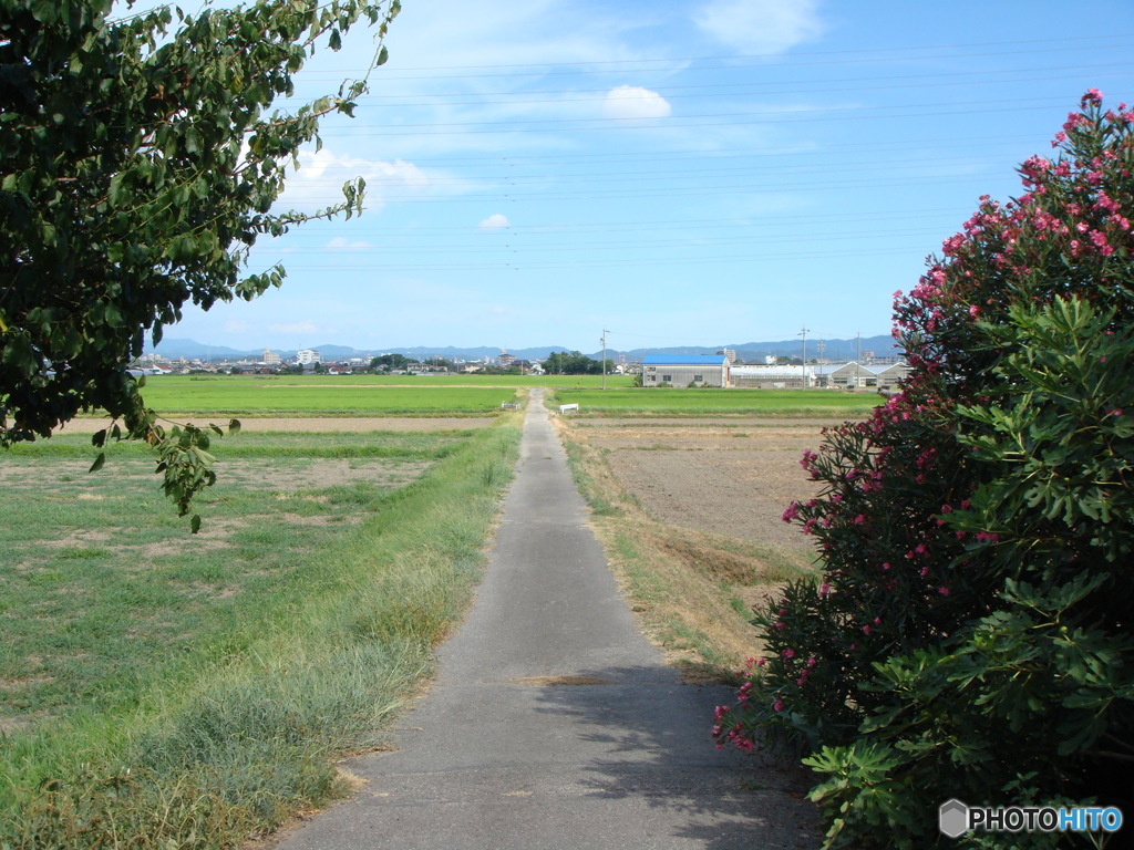 田舎道 By ひろよし Id 写真共有サイト Photohito