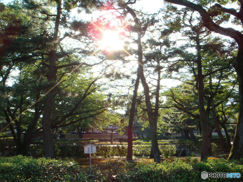 京都の夏