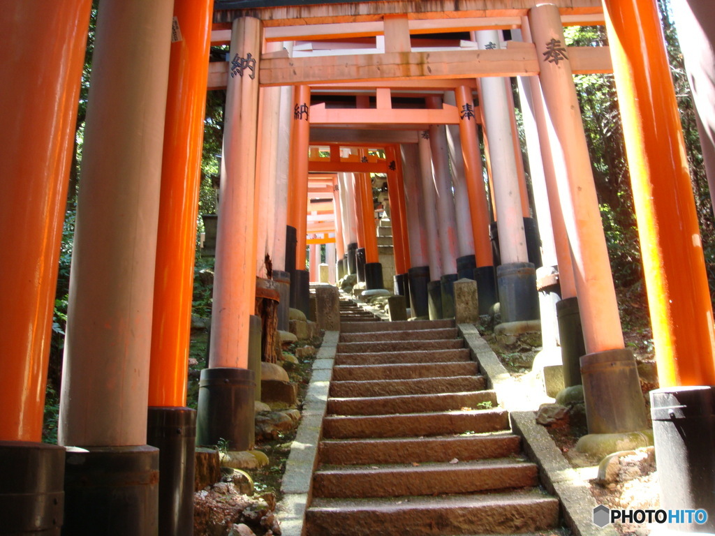 階段と鳥居