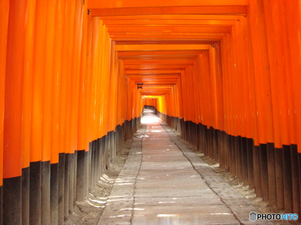 鳥居のトンネル