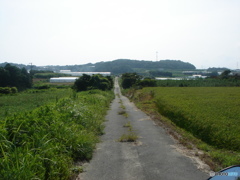 道は続く