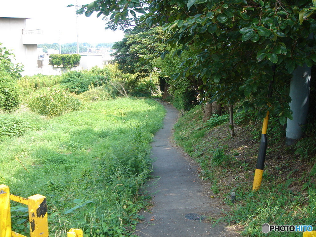 踏切の先にあるもの