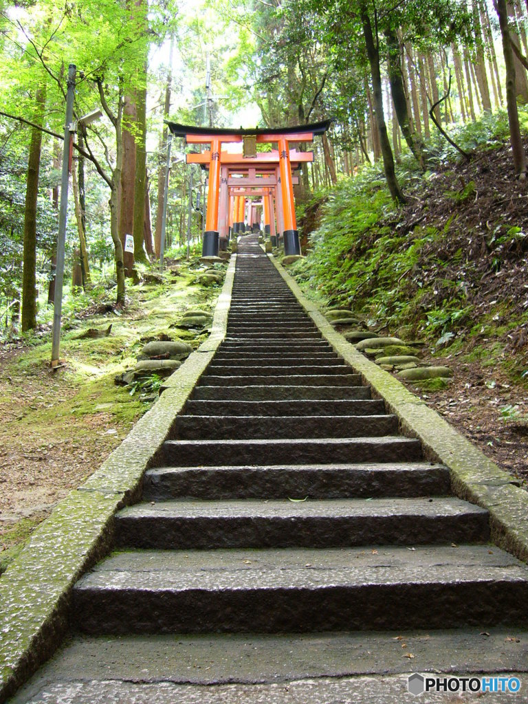 階段の上にも鳥居