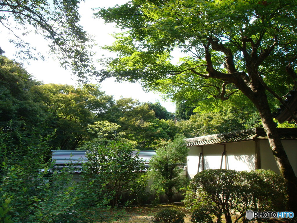 京都 最勝院高徳庵の風景
