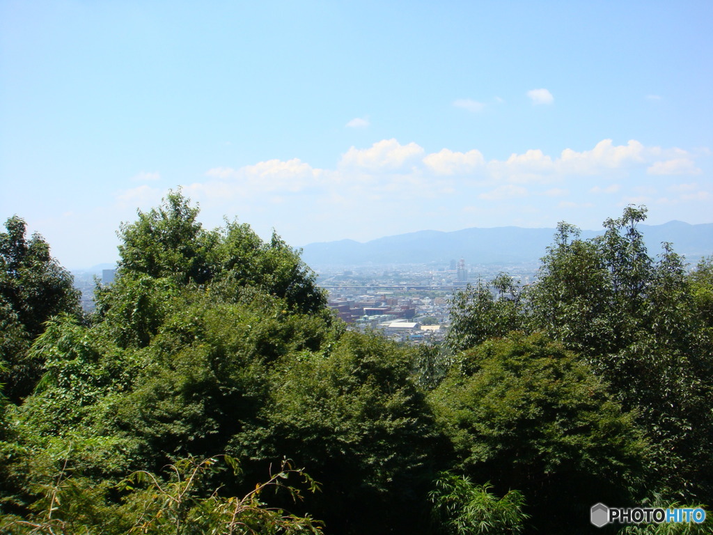 稲荷大社からの景色