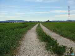 田舎道