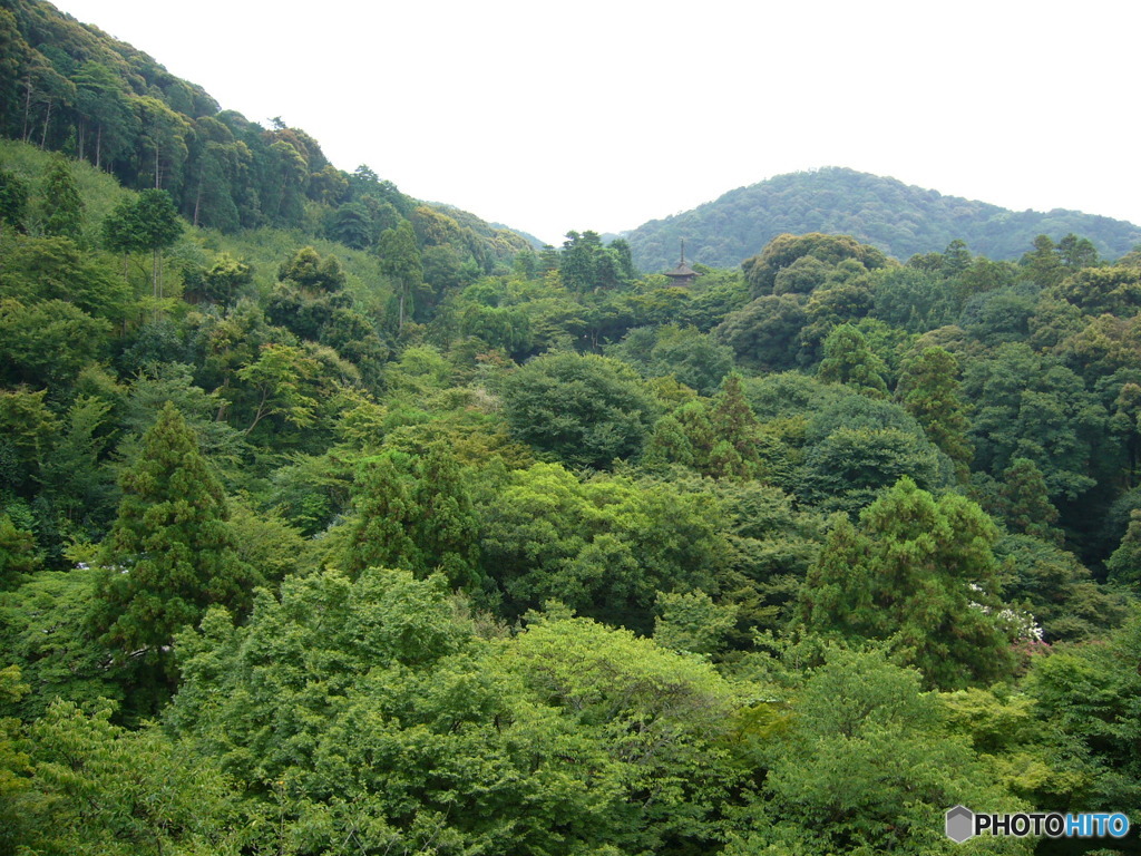 京都の景色