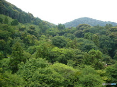 京都の景色
