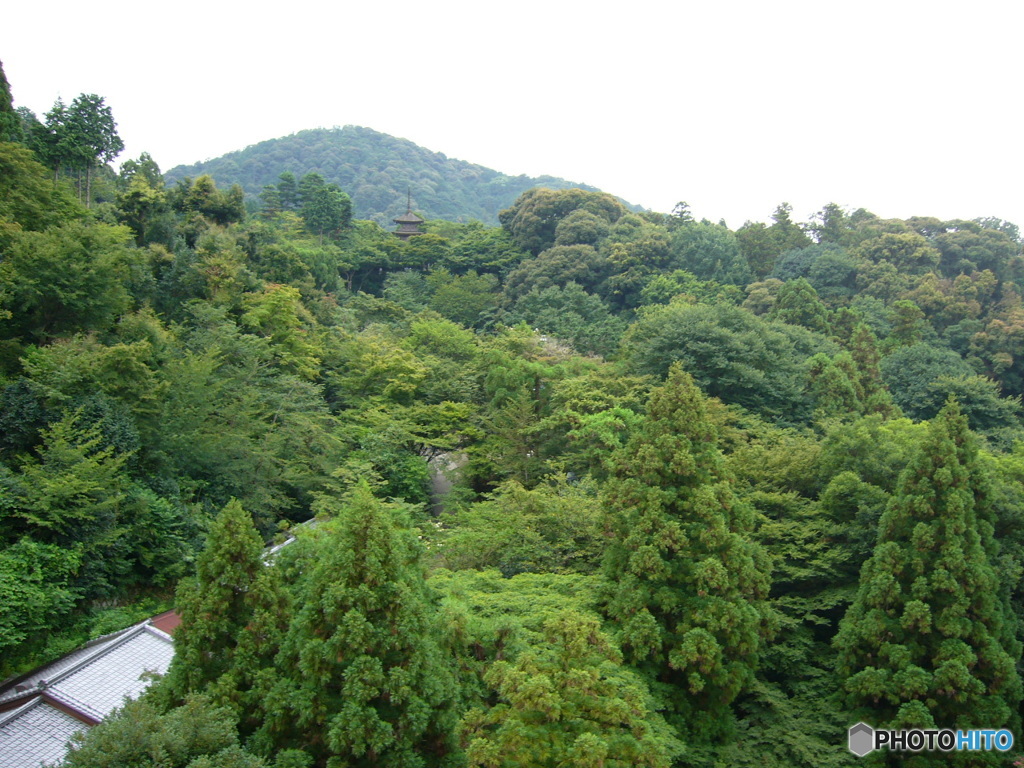 京都の景色