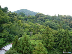 京都の景色