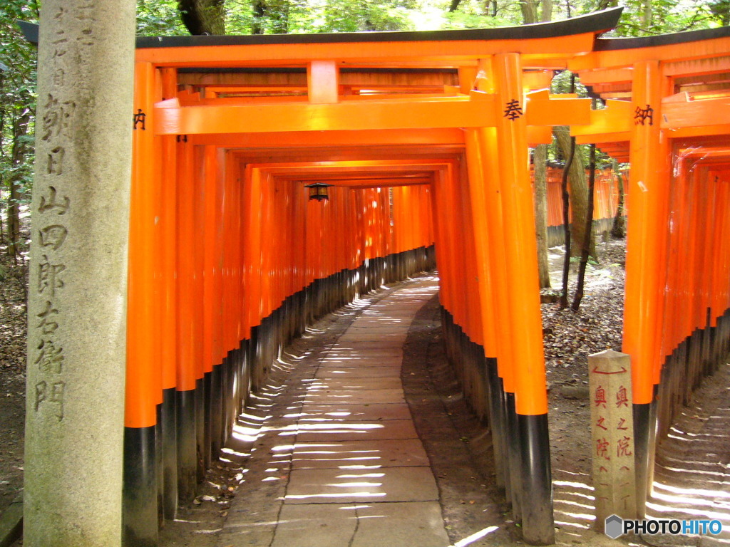 千本鳥居の分岐点