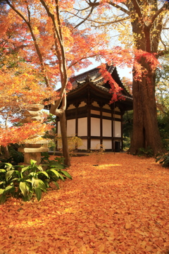 三渓園