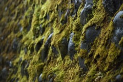 岩手の温泉の壁