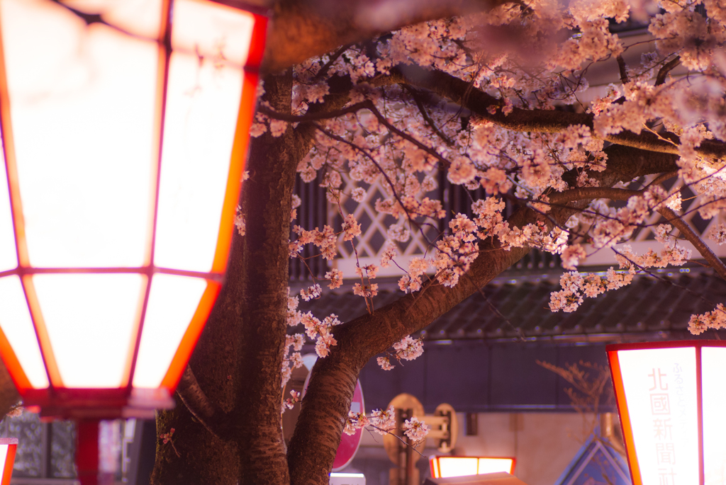 夜の灯り