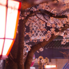 夜の灯り