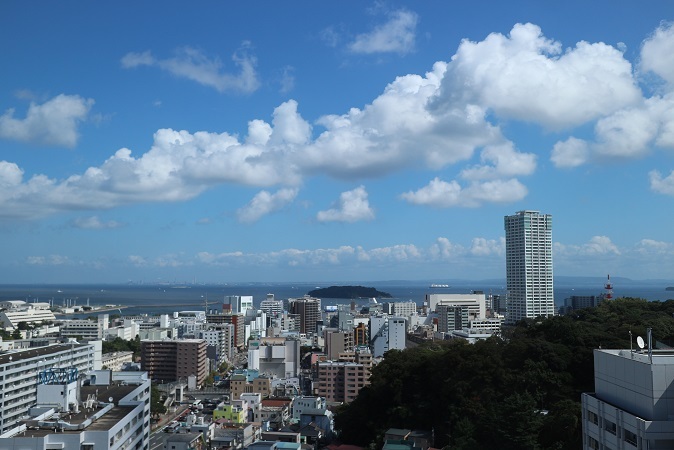 遠く猿島を望む