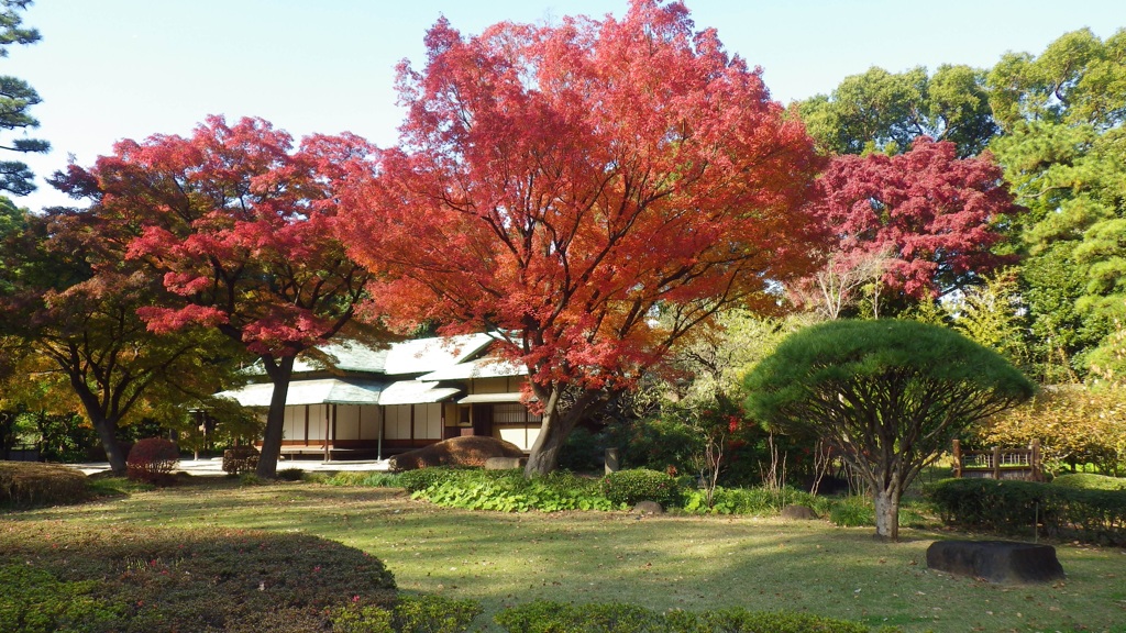 美しき秋の庭園