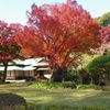 美しき秋の庭園
