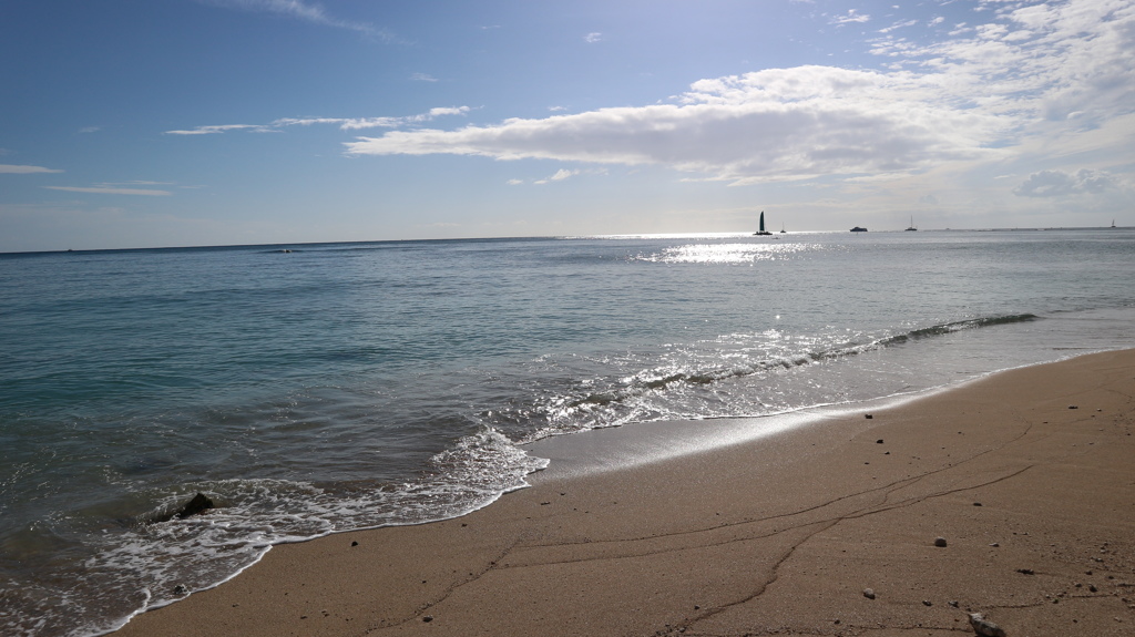 Hawai 海辺の散歩