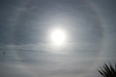 太陽