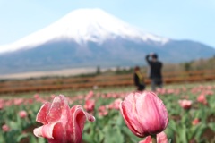 花の都公園　春①