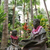 Hawai 本を読む人
