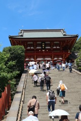 鶴岡八幡宮②