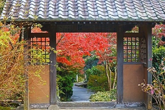 鎌倉　海蔵寺①